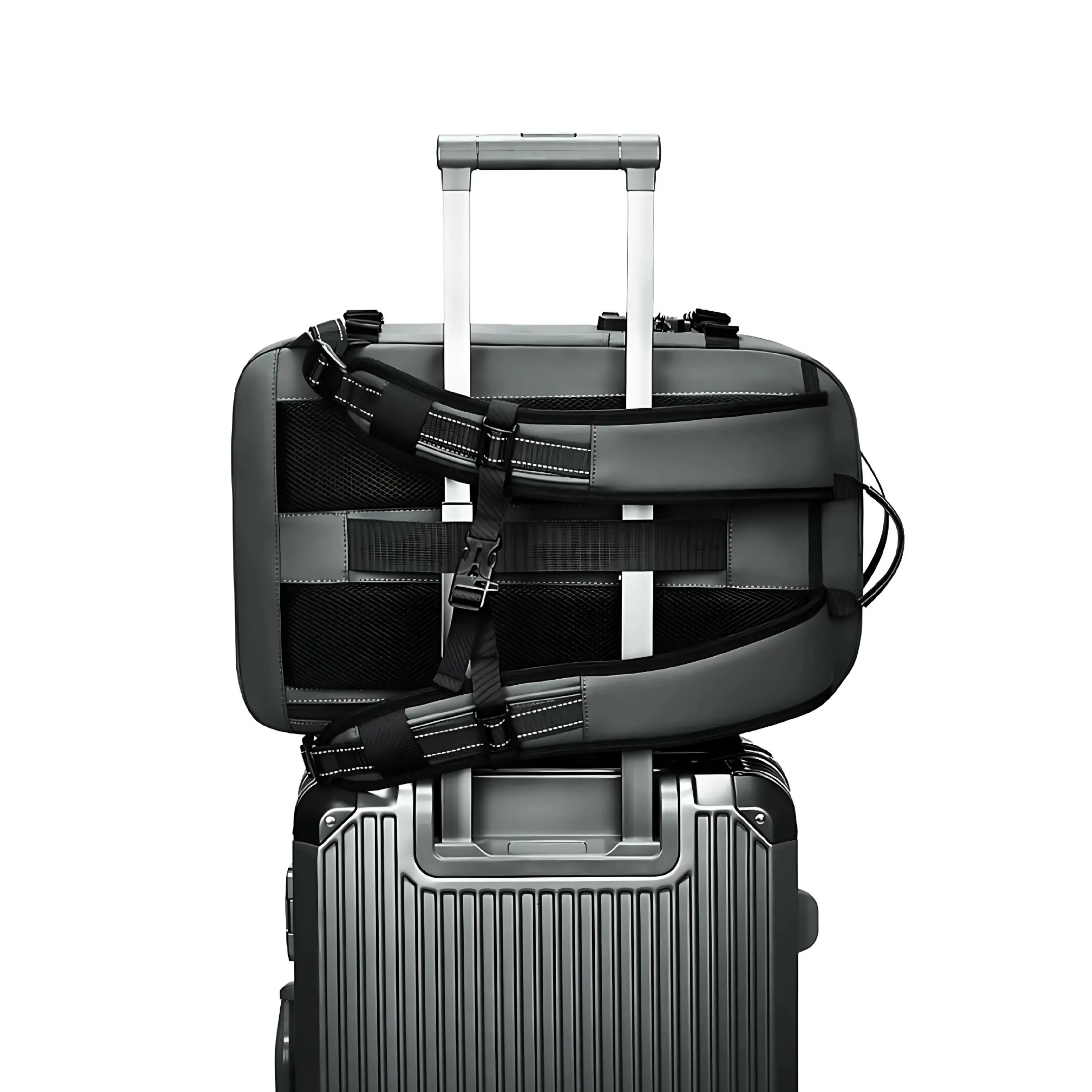 Reistas + GRATIS vacuümpomp